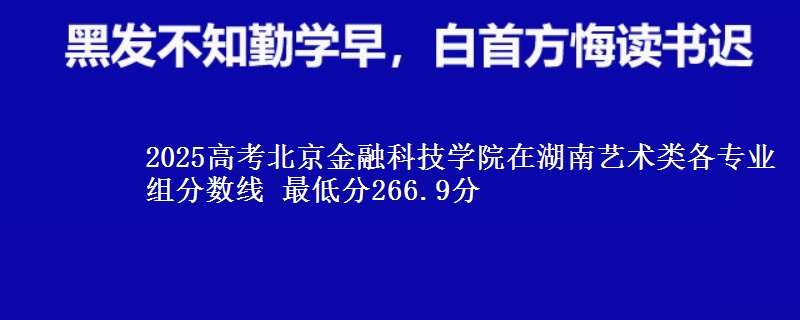 2025年北京金融科技学院在湖南艺术类分数线：最低266.9分