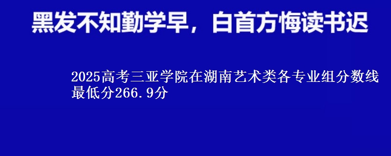 2025年三亚学院在湖南艺术类分数线：最低266.9分