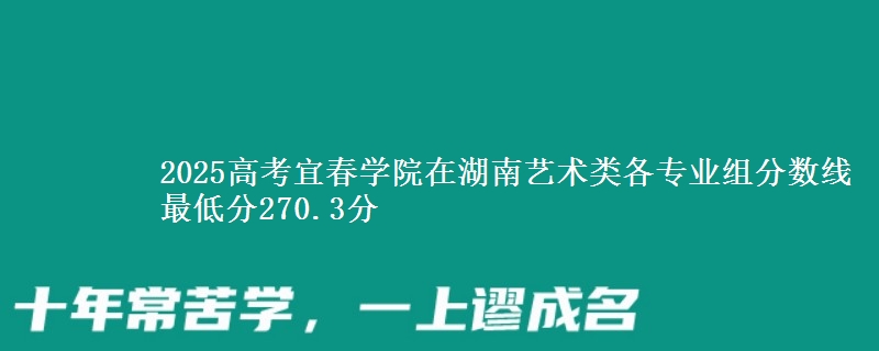 2025年宜春学院在湖南艺术类分数线：最低270.3分
