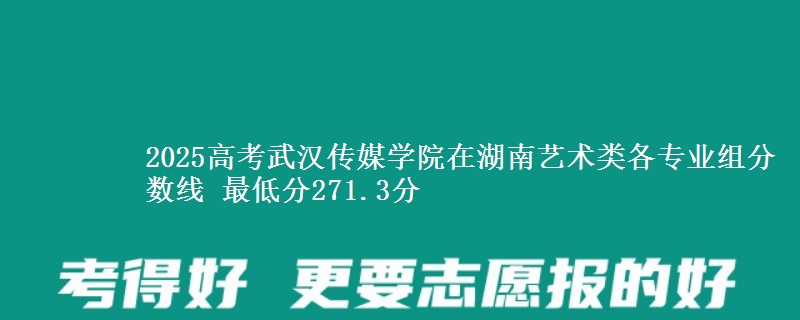 2025年武汉传媒学院在湖南艺术类分数线：最低271.3分
