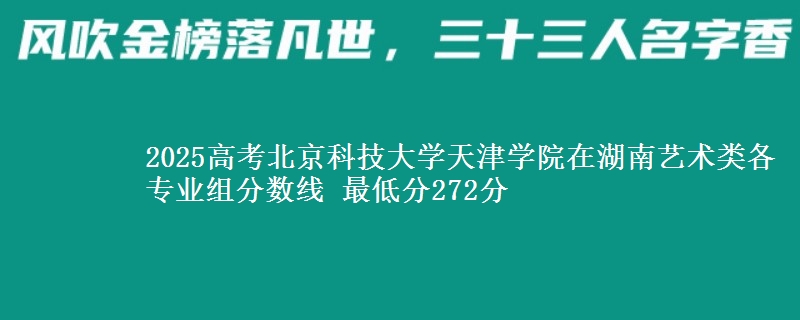 2025年北京科技大学天津学院在湖南艺术类分数线：最低272分
