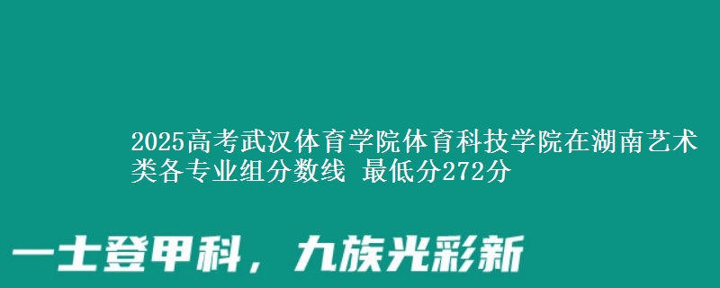 2025年武汉体育学院体育科技学院在湖南艺术类分数线：最低272分