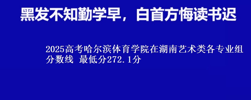 2025年哈尔滨体育学院在湖南艺术类分数线：最低272.1分