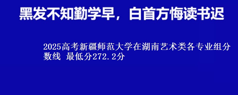 2025年新疆师范大学在湖南艺术类分数线：最低272.2分