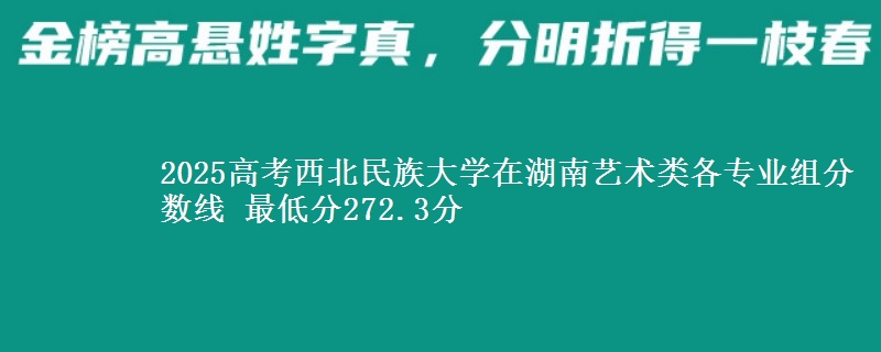2025年西北民族大学在湖南艺术类分数线：最低272.3分