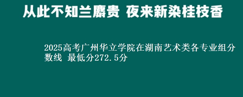 2025年广州华立学院在湖南艺术类分数线：最低272.5分