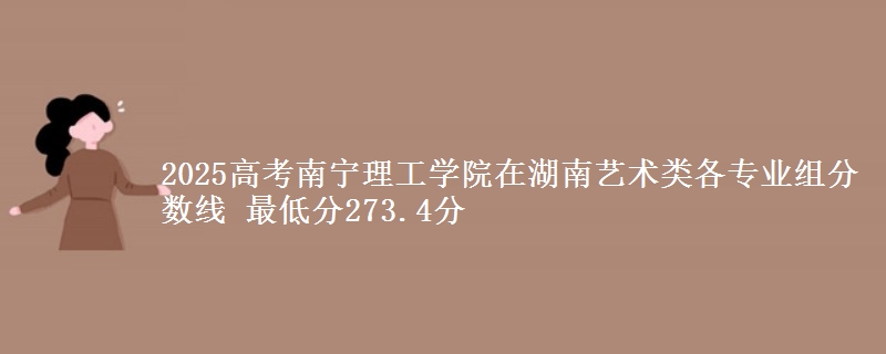 2025年南宁理工学院在湖南艺术类分数线：最低273.4分
