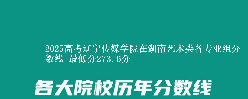 2025年辽宁传媒学院在湖南艺术类分数线：最低273.6分