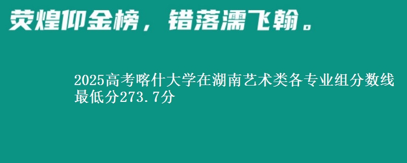 2025年喀什大学在湖南艺术类分数线：最低273.7分
