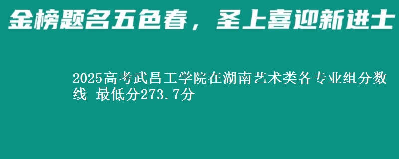 2025年武昌工学院在湖南艺术类分数线：最低273.7分
