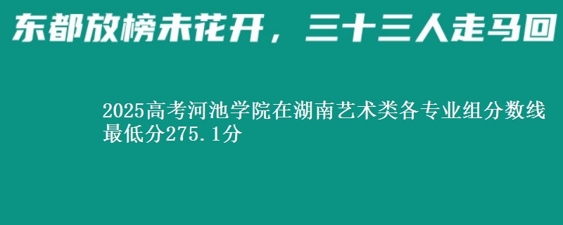 2025年河池学院在湖南艺术类分数线：最低275.1分