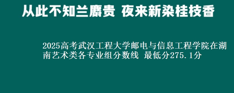 2025年武汉工程大学邮电与信息工程学院在湖南艺术类分数线：最低275.1分