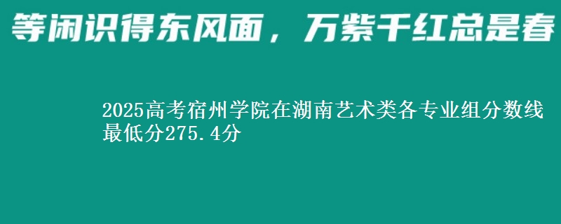 2025年宿州学院在湖南艺术类分数线：最低275.4分