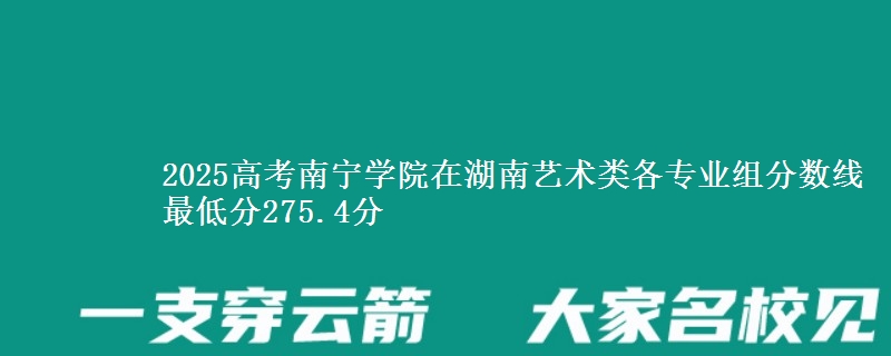 2025年南宁学院在湖南艺术类分数线：最低275.4分