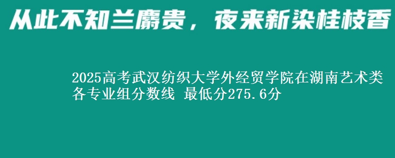 2025年武汉纺织大学外经贸学院在湖南艺术类分数线：最低275.6分