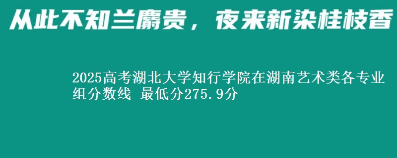 2025年湖北大学知行学院在湖南艺术类分数线：最低275.9分