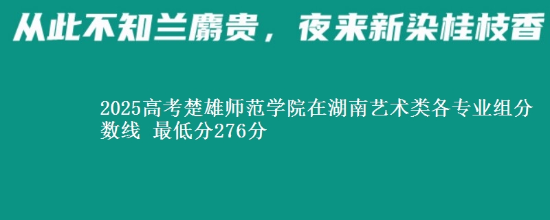 2025年楚雄师范学院在湖南艺术类分数线：最低276分