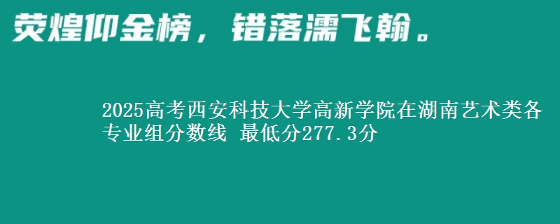 2025年西安科技大学高新学院在湖南艺术类分数线：最低277.3分
