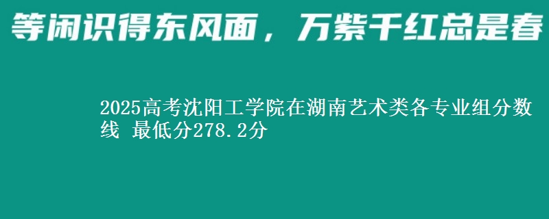 2025年沈阳工学院在湖南艺术类分数线：最低278.2分