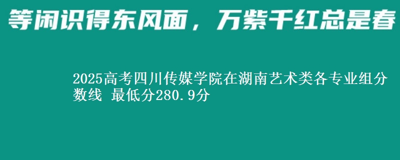 2025年四川传媒学院在湖南艺术类分数线：最低280.9分