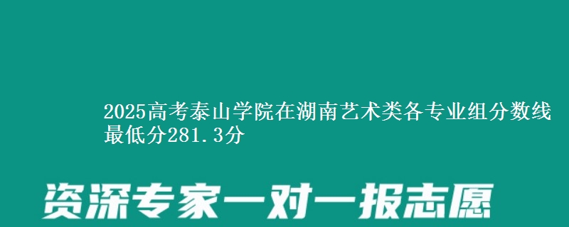 2025年泰山学院在湖南艺术类分数线：最低281.3分