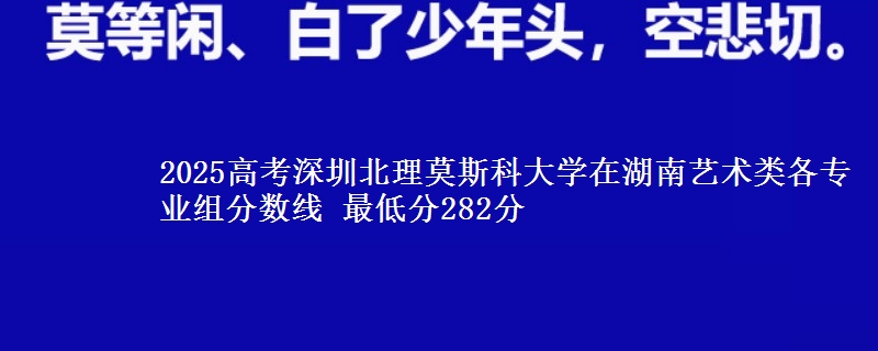 2025年深圳北理莫斯科大学在湖南艺术类分数线：最低282分