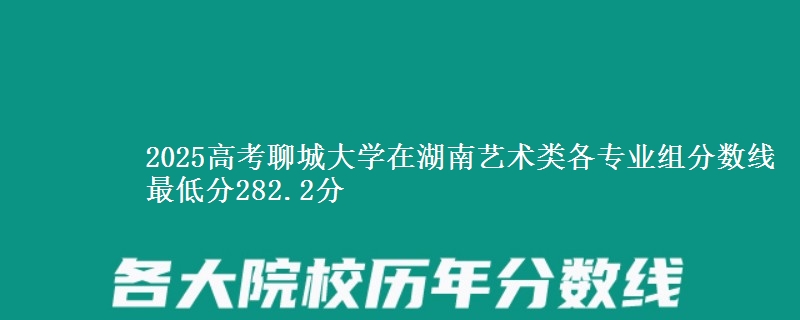 2025年聊城大学在湖南艺术类分数线：最低282.2分