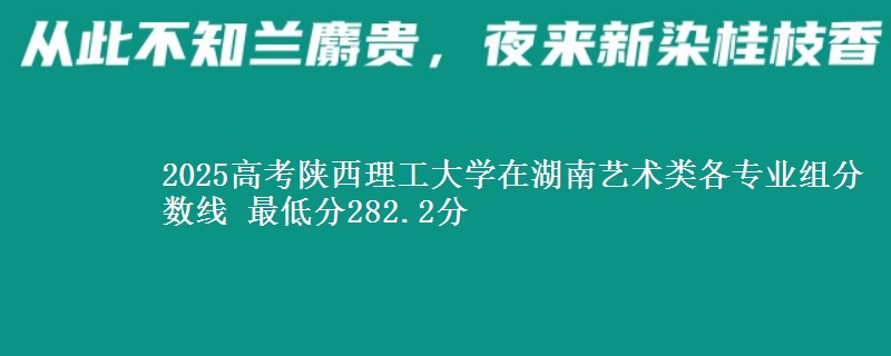 2025年陕西理工大学在湖南艺术类分数线：最低282.2分
