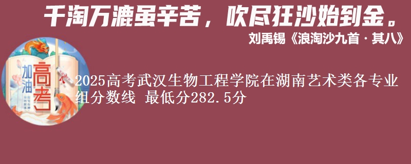 2025年武汉生物工程学院在湖南艺术类分数线：最低282.5分