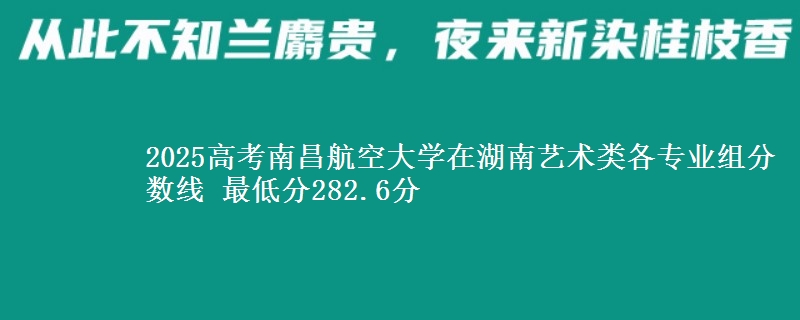 2025年南昌航空大学在湖南艺术类分数线：最低282.6分