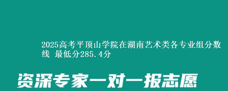 2025年平顶山学院在湖南艺术类分数线：最低285.4分