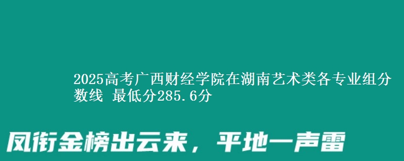 2025年广西财经学院在湖南艺术类分数线：最低285.6分
