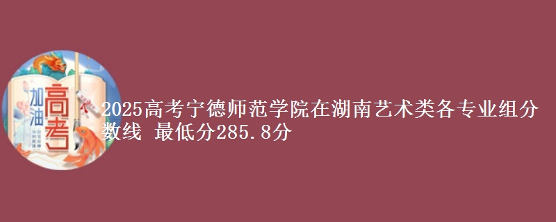 2025年宁德师范学院在湖南艺术类分数线：最低285.8分