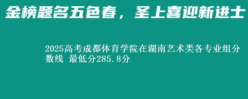 2025年成都体育学院在湖南艺术类分数线：最低285.8分