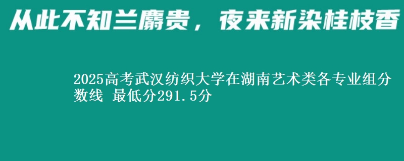 2025年武汉纺织大学在湖南艺术类分数线：最低291.5分