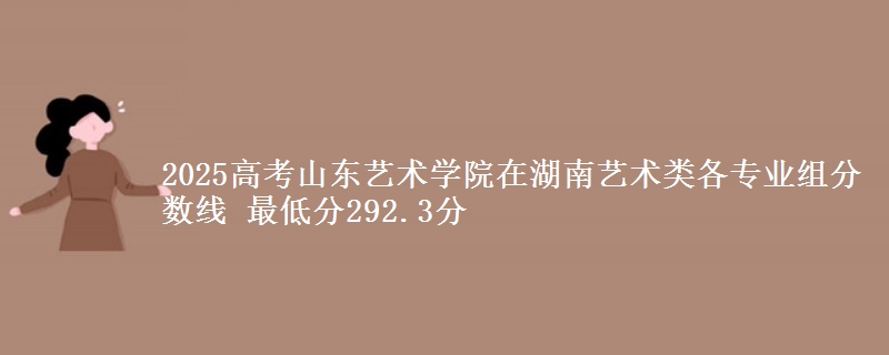 2025年山东艺术学院在湖南艺术类分数线：最低292.3分