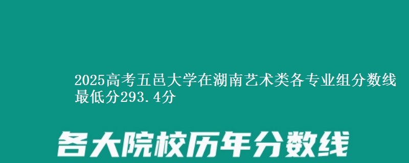 2025年五邑大学在湖南艺术类分数线：最低293.4分