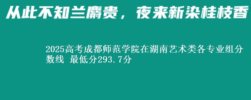 2025年成都师范学院在湖南艺术类分数线：最低293.7分