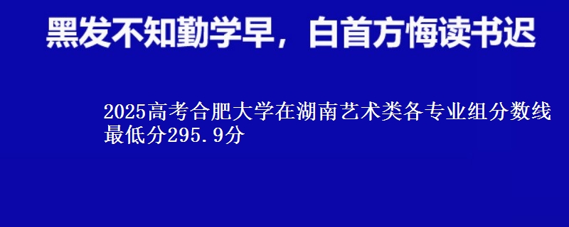 2025年合肥大学在湖南艺术类分数线：最低295.9分