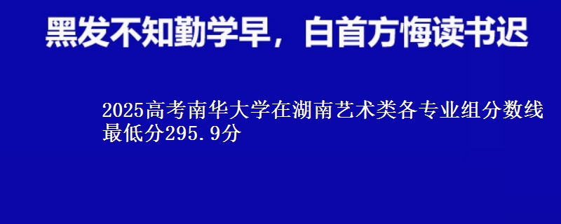 2025年南华大学在湖南艺术类分数线：最低295.9分