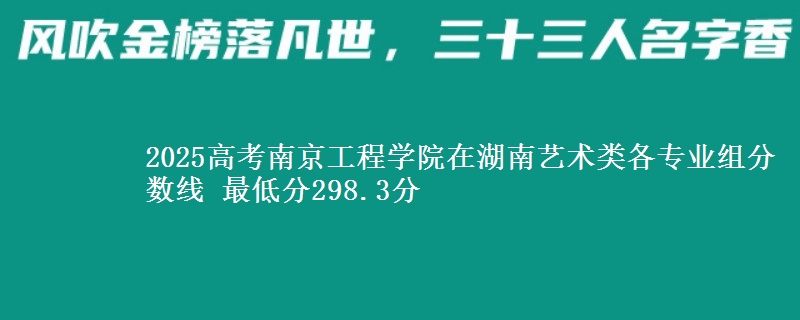 2025年南京工程学院在湖南艺术类分数线：最低298.3分