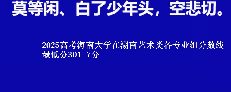 2025年海南大学在湖南艺术类各专业组分数线 最低分301.7分