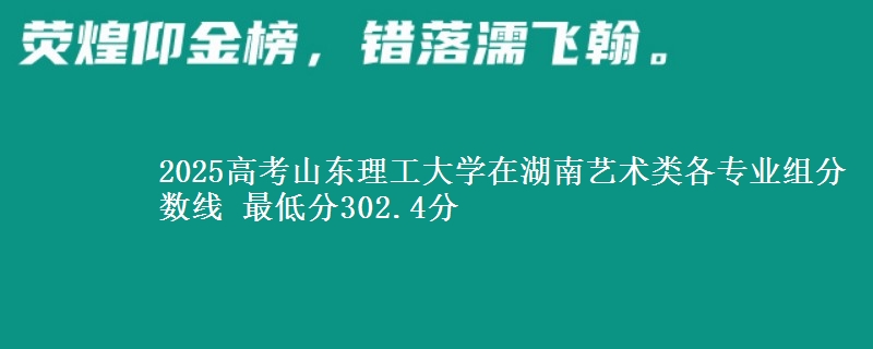 2025年山东理工大学在湖南艺术类各专业组分数线 最低分302.4分
