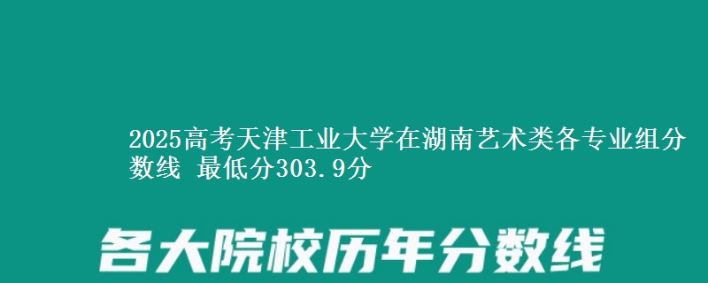 2025年天津工业大学在湖南艺术类各专业组分数线 最低分303.9分