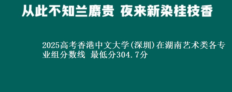2025年香港中文大学(深圳)在湖南艺术类各专业组分数线 最低分304.7分