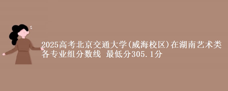 2025年北京交通大学(威海校区)在湖南艺术类各专业组分数线 最低分305.1分