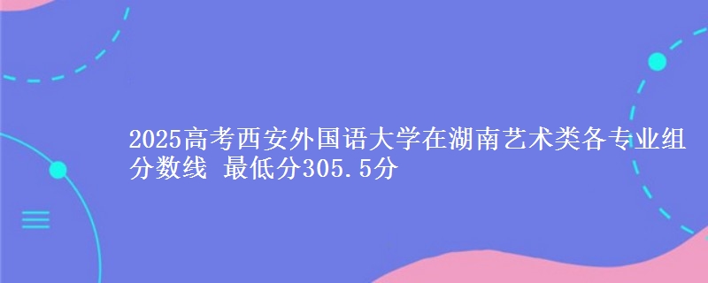 2025年西安外国语大学在湖南艺术类各专业组分数线 最低分305.5分