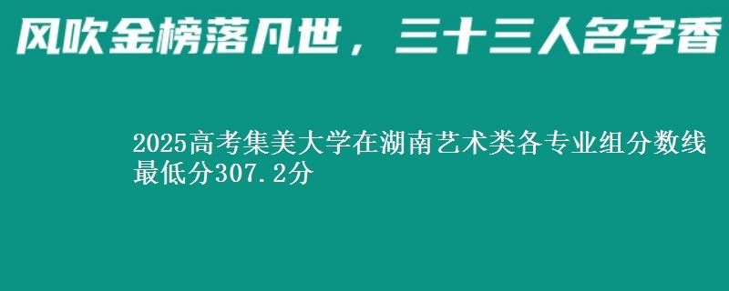 2025年集美大学在湖南艺术类各专业组分数线 最低分307.2分
