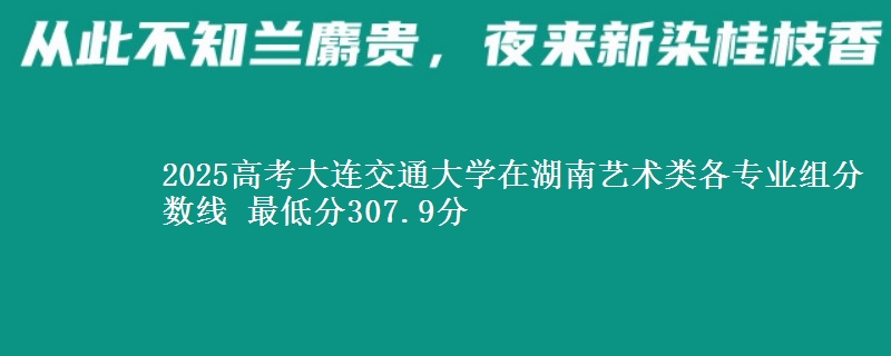 2025年大连交通大学在湖南艺术类各专业组分数线 最低分307.9分