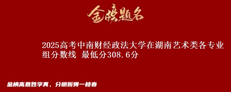 2025年中南财经政法大学在湖南艺术类各专业组分数线 最低分308.6分